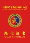 中国武术散打搏击协会级位证样板！